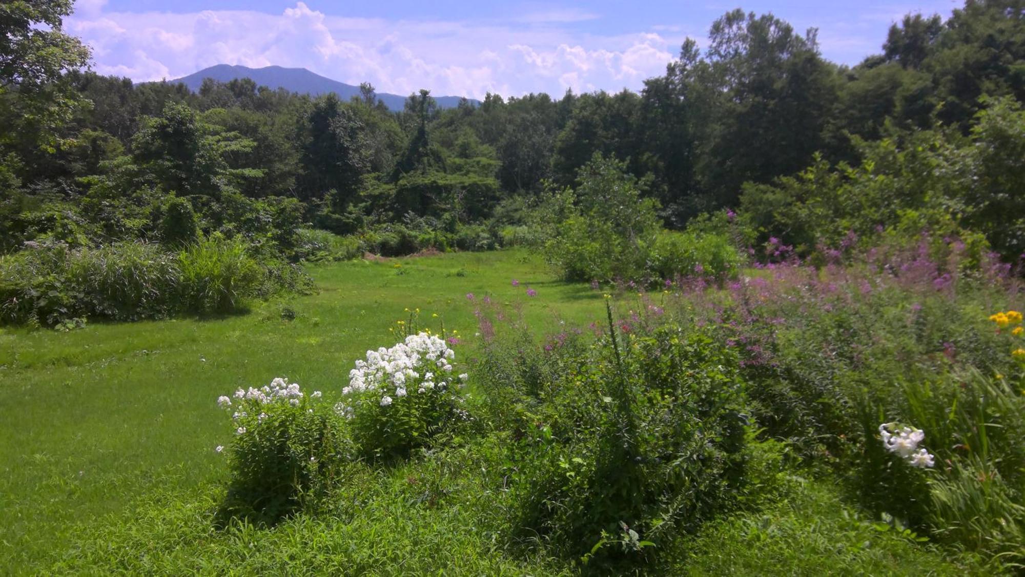 Lodge Amenouo Myōkō Dış mekan fotoğraf